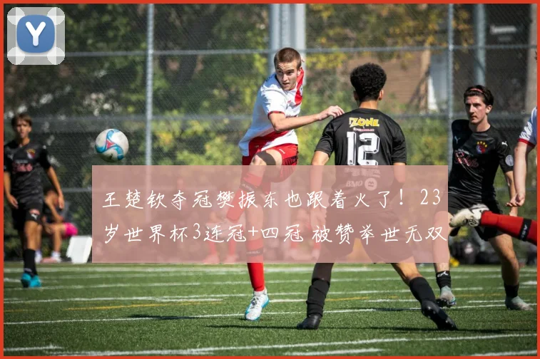 王楚钦夺冠樊振东也跟着火了！23岁世界杯3连冠+四冠 被赞举世无双